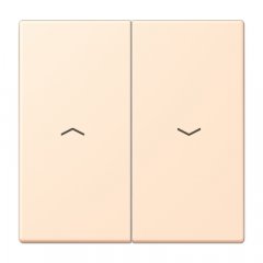 Taustiņs 2-viet žalūziju slēdzim, ar virzienrādītāju, Serie LS, terre sienne pâle