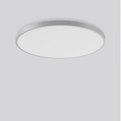 Gaismeklis TRIONA round, 61 W, 6000 lm, 827-865, silver, smart+free Ceiling and wall luminaires, D 1009 H 88, Plastic (PMMA) prismatic