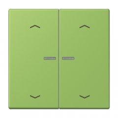 JUNG HOME taustiņš 2-viet, ar bultiņu simboliem<br />
, Serie LS, vert 31