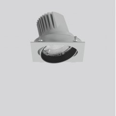 MAGCARDO maxi, 33 W, 1800 lm, fresh meat, silver, on/off Recessed projectors, L 172 B 167 H 137, 17°