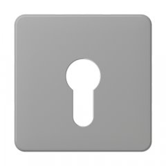 Virsma slēdzim ar atslēgu, termoplasts, Serie CD, grau