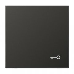 Taustiņš, ar simbolu, Aluminium lackiert, Serie LS, antracīts (lakots alumīnijs)