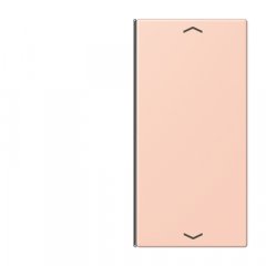 Taustiņs slēdzim 2-viet, ar virzienrādītāju, F40, Serie LS, l'ocre rouge clair