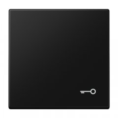 Taustiņš, ar simbolu, Serie LS, grafīta melns matēts