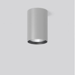 HELEDON maxi, 35 W, 4550 lm, 940, silver, on/off Surface mounted downlights, D 123 H 183, 21°