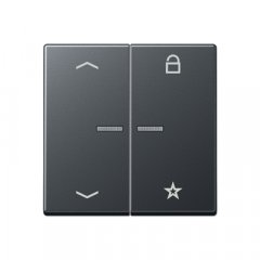 eNet taustiņš unversālais 2-viet, ar bultiņu simboliem<br />
, termoplasts krāsots, Serie A, anthrazit matt