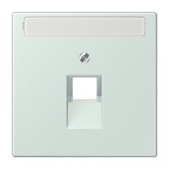 Virsma IAE/UAE-datu rozetei 1 x 8-polig, marķējams, termoplasts lakots, Serie LS, céruléen pale