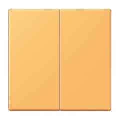 EnOcean slēdzis-raidītājs kanālu skaits 4, Serie LS, ocre jaune clair