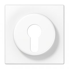 Virsma slēdzim ar atslēgu, termoplasts, Serie LS, balts