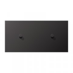 Virsma slēdžiem, 2-viet, 2 x 1 rotācijas slēdzis, horizontāli montējams, Serie LS 1912, tumša (lackiertes Aluminium)