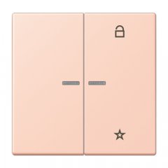 eNet taustiņš unversālais 2-viet, duroplasts, Serie LS, l'ocre rouge clair