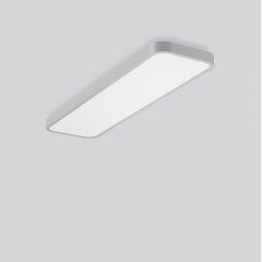 Gaismeklis TRIONA rectangle, 61 W, 7400 lm, 830, silver, DALI Ceiling and wall luminaires, L 1300 B 350 H 88, Plastic (PMMA) opal
