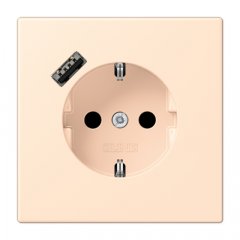 Kontaktligzda SCHUKO 16 A 250 V ~, USB pieslēgvieta 1 x Typ A, ar bērnu drošību, Serie LS, terre sienne pâle