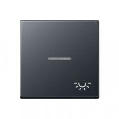 Taustiņs 1-viet, ar indikācijas logu, ar spuldzes simbolu, termoplasts, Serie A, antracīts matēts