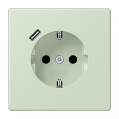 Kontaktligzda SCHUKO 16 A 250 V ~, USB pieslēgvieta 1 x Typ C, ar bērnu drošību, Serie LS, vert anglâis pale