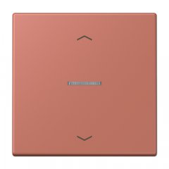 JUNG HOME taustiņš 1-viet, ar bultiņu simboliem<br />
, Serie LS, terre sienne brique