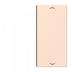 Taustiņs slēdzim 2-viet, ar virzienrādītāju, F40, Serie LS, orange pâle