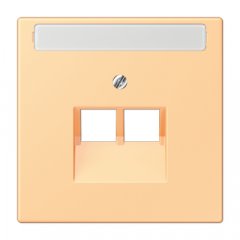 Virsma IAE/UAE-datu rozetei 2 x 8-polig, marķējams, termoplasts lakots, Serie LS, terre sienne claire 59