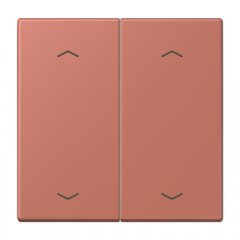 Taustiņs KNX slēdzim, ar virzienrādītāju 2-viet, Serie LS, terre sienne brique