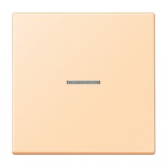 Taustiņs KNX slēdzim ar indikācijas logu 1-viet, Serie LS, ocre