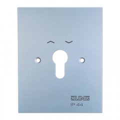 Virsma metāla  125 x 100 mm, ar simbolu, WG 800, Alu matt