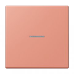 JUNG HOME taustiņš 1-viet, Serie LS, l'ocre rouge moyen