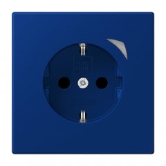 Kontaktligzda JUNG HOME SCHUKO, 16 A 250 V ~, Energy, skrūvju spailes, ar indikātoru un bērnu drošību, termoplasts