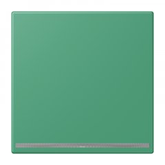 LED-dežūrgaisma, Thermoplast lackiert, Serie LS, vert 59