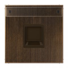 Virsma (ar fiksatoru) modulārai datu rozetei 1-vietīga, UMA-CAT6A, marķējams, misiņa, Serie LS, misiņa antik