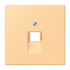 Virsma IAE/UAE-datu rozetei 1 x 8-polig, termoplasts lakots, Serie LS, terre sienne claire 59