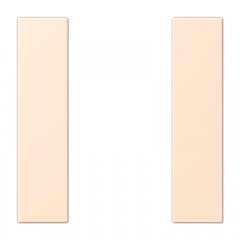 Taustiņs 1-viet, F50, Serie LS, terre sienne pâle