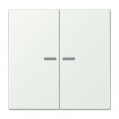 JUNG HOME taustiņš 2-viet, Serie LS, outremer gris