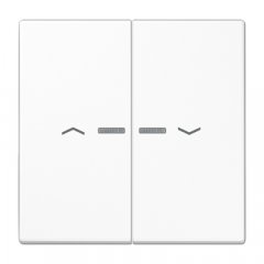 Taustiņs 2-viet ar indikācijas logu un virzienrādītāju, duroplasts, Serie LS, balts