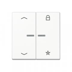 eNet taustiņš unversālais 2-viet, ar bultiņu simboliem<br />
, termoplasts krāsots, Serie A, sniegbalts matēts