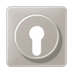 Virsma slēdzim ar atslēgu, Aluminium eloxiert, Serie CD, platīna krāsa