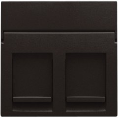 Central plate data 2x RJ, dark brown coated