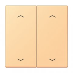Taustiņs KNX slēdzim, ar virzienrādītāju 2-viet, Serie LS, terre sienne claire 59