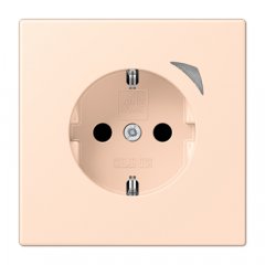 Kontaktligzda JUNG HOME SCHUKO, 16 A 250 V ~, Energy, skrūvju spailes, ar indikātoru un bērnu drošību, termoplasts