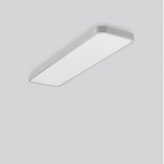 Gaismeklis TRIONA rectangle, 96 W, 12100 lm, 840, silver, DALI Ceiling and wall luminaires, L 1300 B 350 H 88, Plastic (PMMA) opal