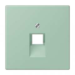 Virsma IAE/UAE-datu rozetei 1 x 8-polig, termoplasts lakots, Serie LS, vert anglais clair