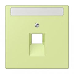 Virsma IAE/UAE-datu rozetei 1 x 8-polig, marķējams, termoplasts lakots, Serie LS, vert jaune clair