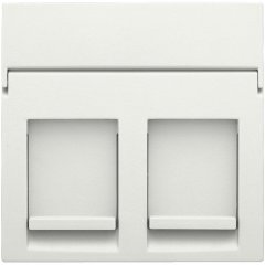 Central plate data 2x RJ, white