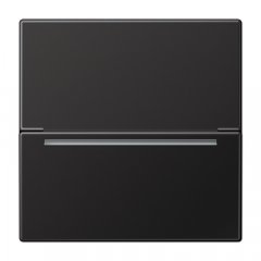 RFID kartes turētājs (bez mehānisma), Serie LS, tumša