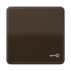 Taustiņš, ar simbolu, duroplasts, Serie CD, brūns