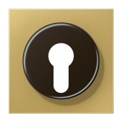 Virsma slēdzim ar atslēgu,  Serie LS, misiņš