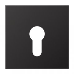 Virsma slēdzim ar atslēgu, Aluminium lackiert, Serie LS, tumša (lackiertes Aluminium)