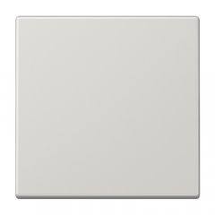 LB-Management taustiņš 1-viet, duroplasts, Serie LS, gaiši pelēks