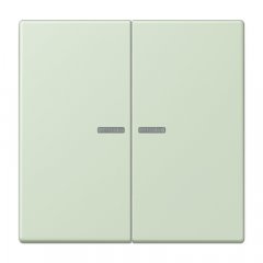 Taustiņs KNX slēdzim ar indikācijas logu 2-viet, Serie LS, vert anglâis pale
