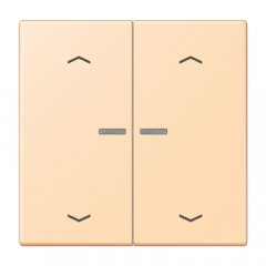 JUNG HOME taustiņš 2-viet, ar bultiņu simboliem<br />
, Serie LS, ocre