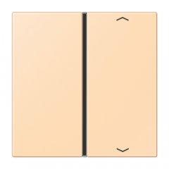 Taustiņs slēdzim 1-viet, ar virzienrādītāju, F40, Serie LS, ocre